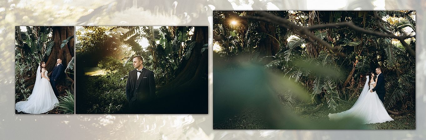 Album Design