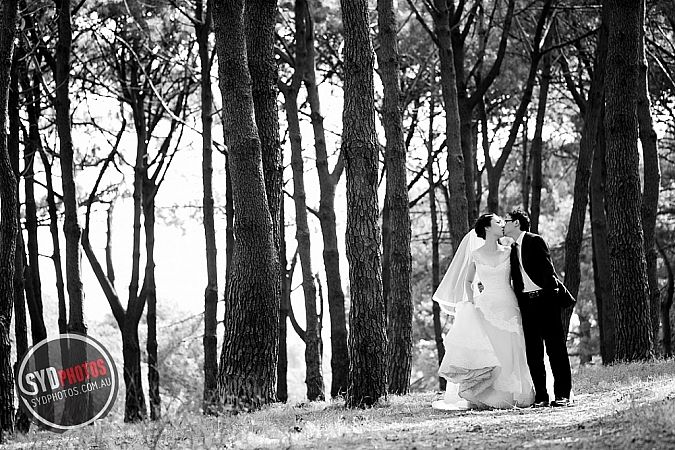 Photographers Portfolios
